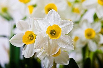 科隆：《堕落之主》新预告公布 大战魔物画面绚丽